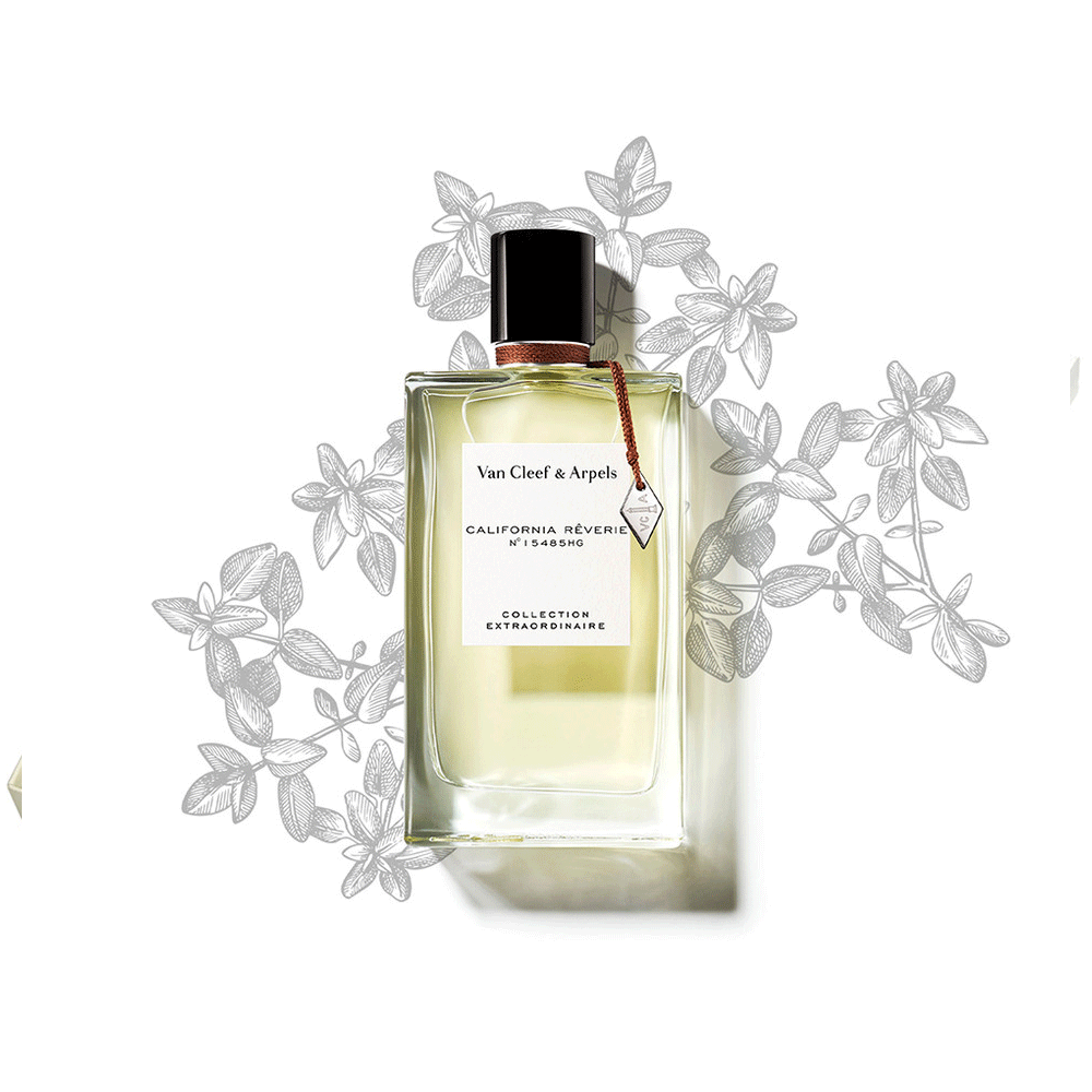 Collection Extraordinaire Travel Set 3 x 45ml
