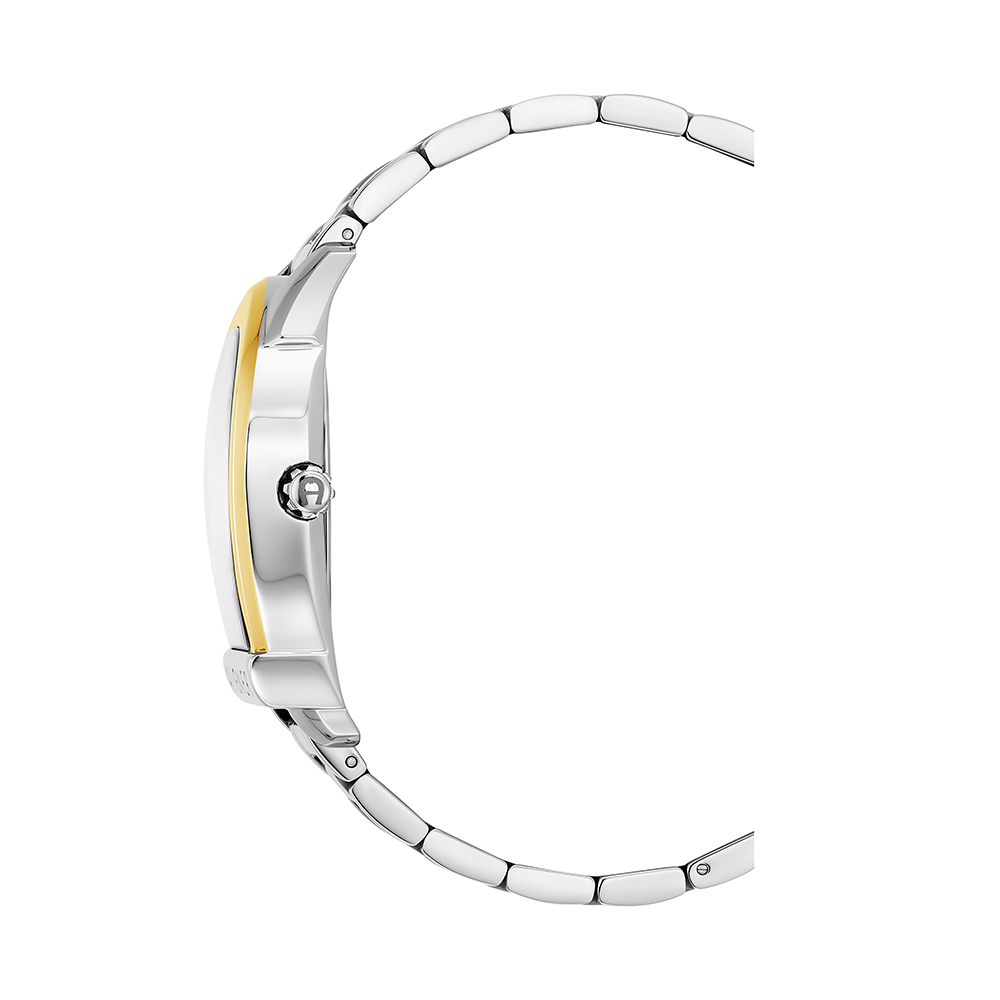 Aigner Siena Gents Watch