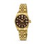 Guy Laroche - Brown Mop Stone Dial Gold Plated Bracelet Women's Watch