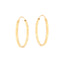 Pair of tiny gold-toned circular hoop earrings with a polished finish.