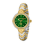 Roberto Cavalli by Franck Muller Ladies Watch