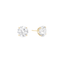 Shashi Caroline Large Stud Earring Gold – elegant gold stud earrings at Paris Gallery Qatar