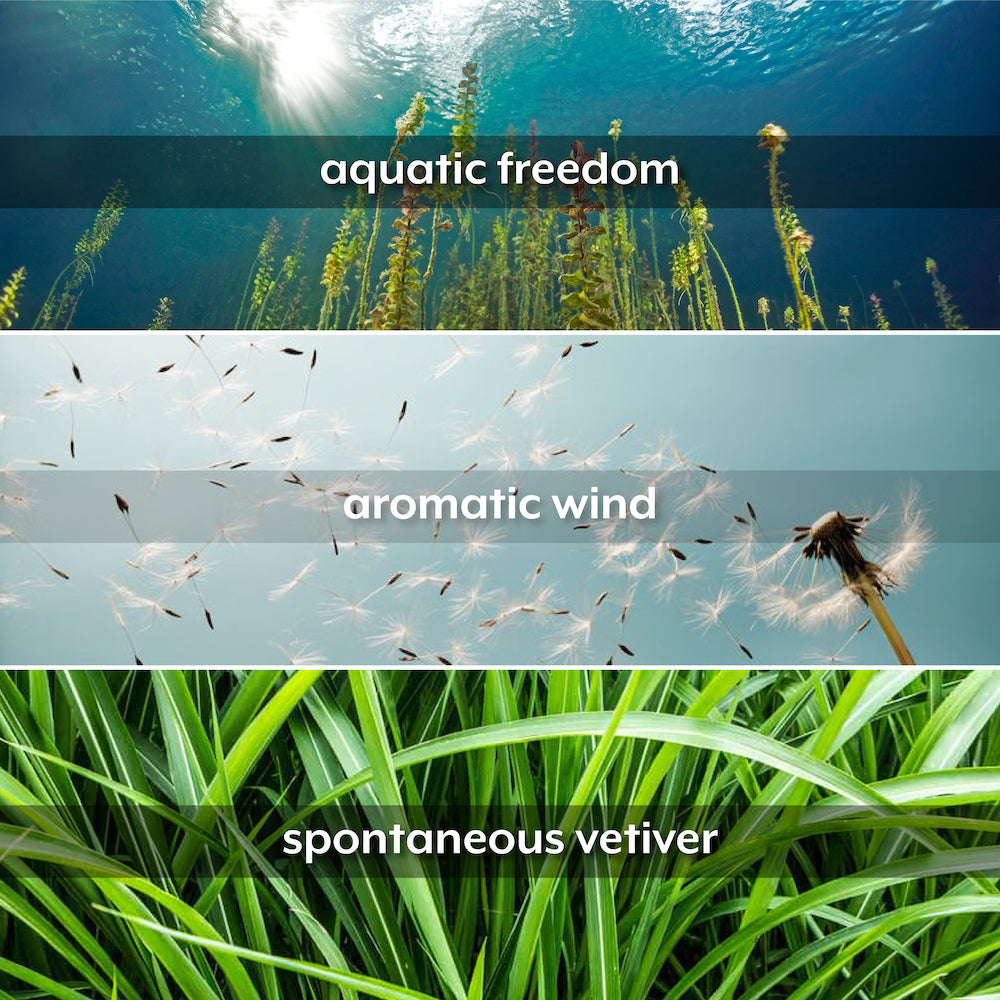 عطر مستر شاي أو دو بارفان، 75 مل