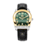 Aigner Sienna Men's Watch