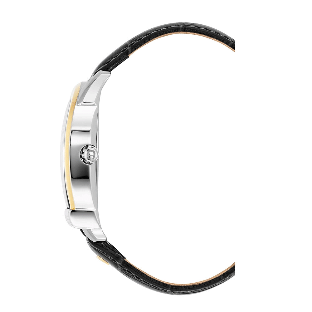 Aigner Sienna Men's Watch