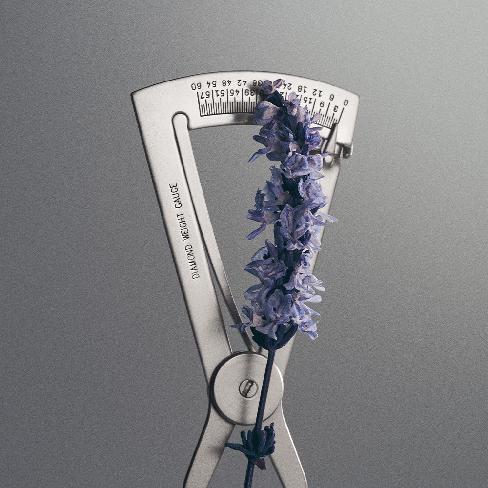 Creed Millésime Iris Debonair 100ml