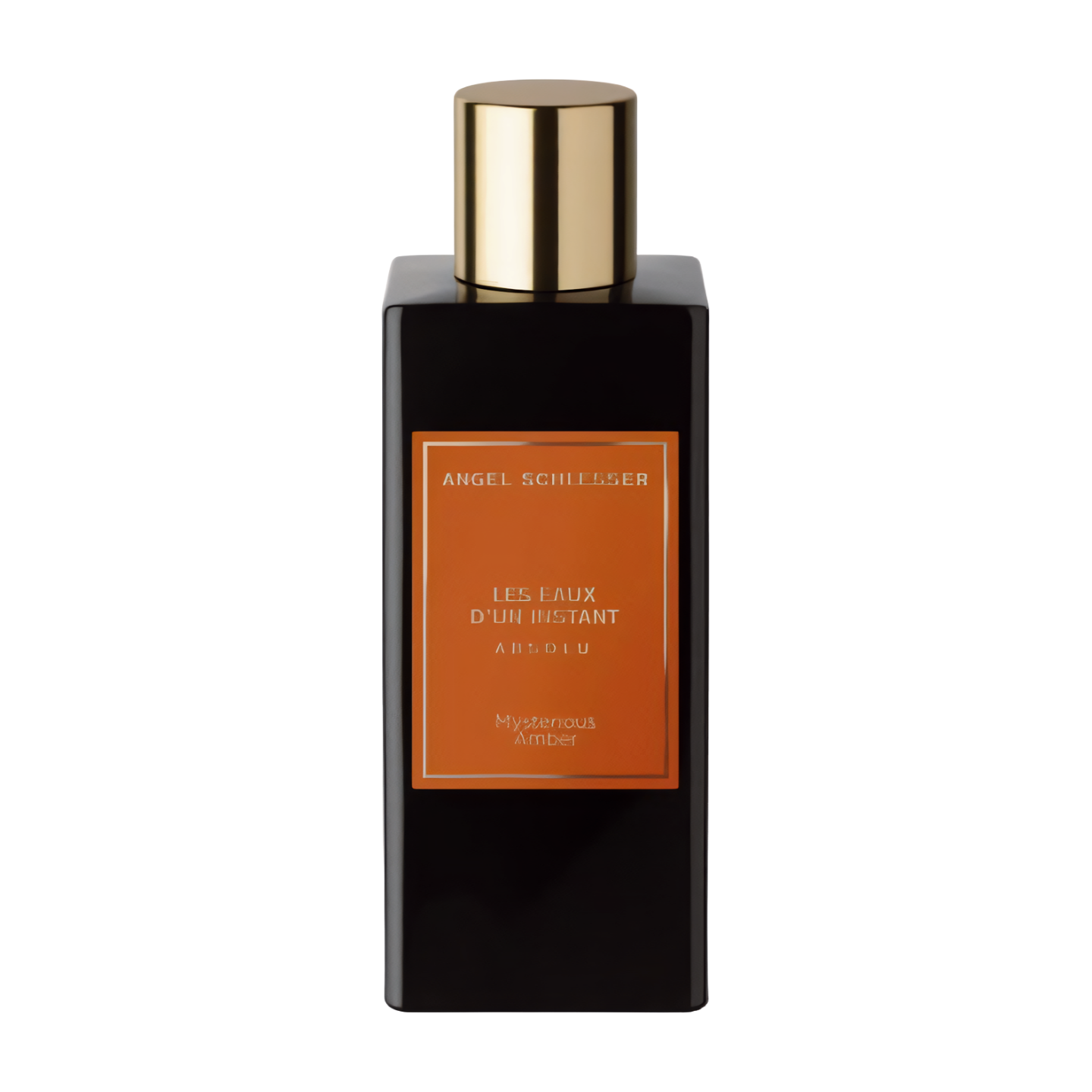 Angel Schlesser Myber Amber Eau de Parfum ، 100 مل Angel Schlesser Myber Amber Eau de Parfum ، 100 مل