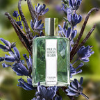 Caron Pour Un Homme EDT 200ml classic men’s lavender fragrance bottle Shop the Latest Online