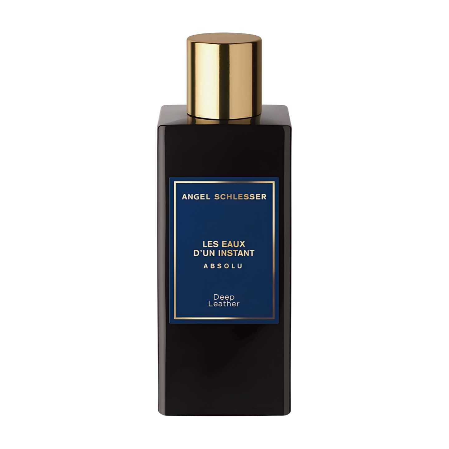 Angel Schlesser Instant Absolu Deep Leather ، eau de parfum 100 ml