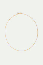 Delicate gold-toned chain necklace with a lobster clasp closure and an extender chain ending in a small rectangular tag.