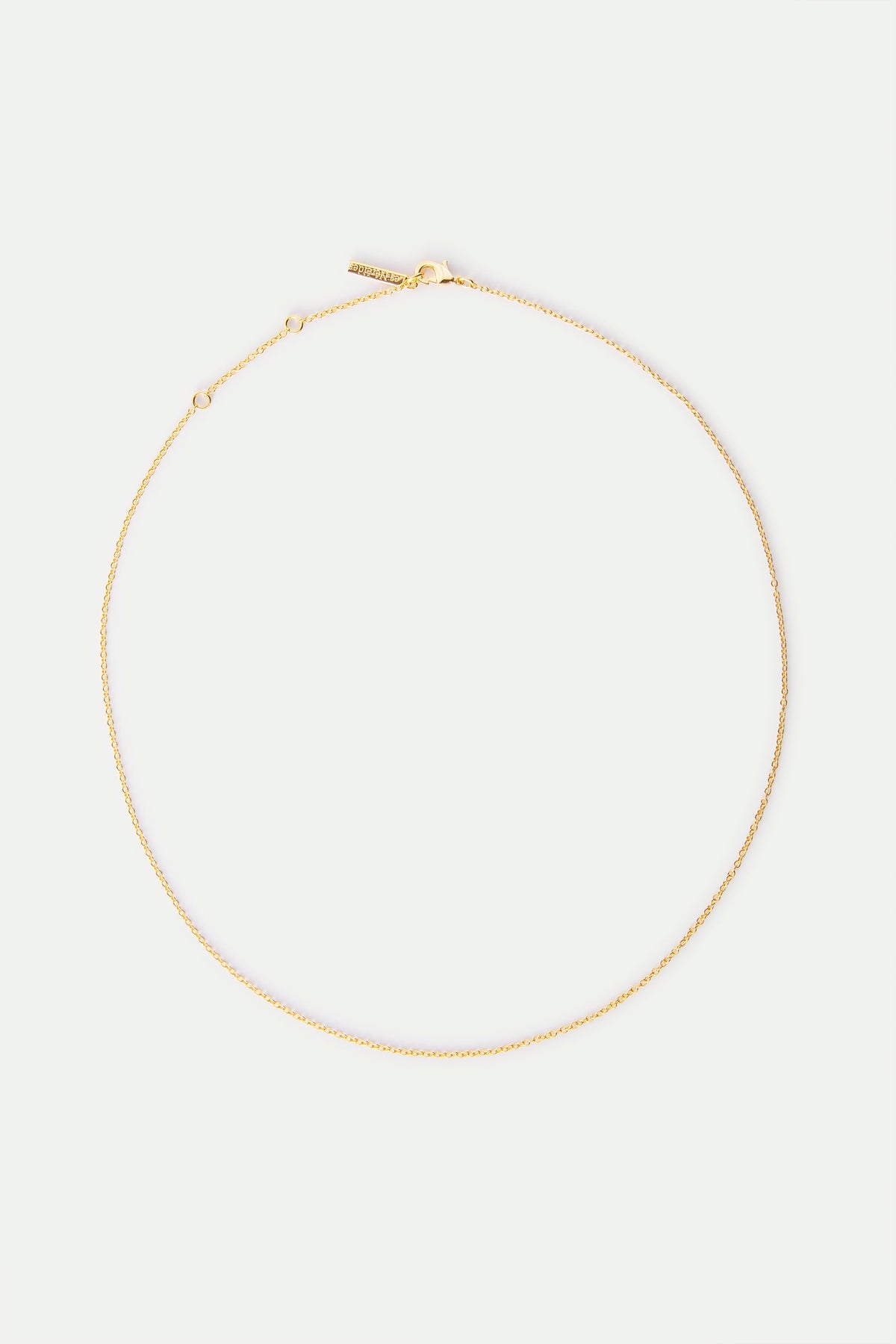 Delicate gold-toned chain necklace with a lobster clasp closure and an extender chain ending in a small rectangular tag.