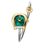 A direct studio front catalog portrait of the women's Aigner Flora S watch, highlighting its two-tone gold and silver horseshoe case, textured checkered emerald green Mother of Pearl dial, and the wrapping tubular steel bangle with its contrast yellow gold horseshoe logo charm.