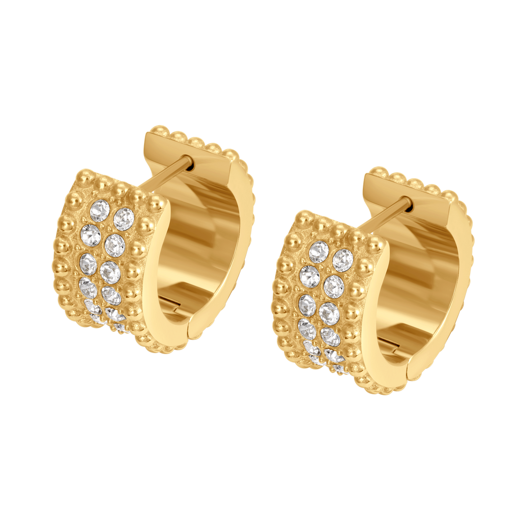 Cerruti Isadora Round Cutout Logo Motif Earring