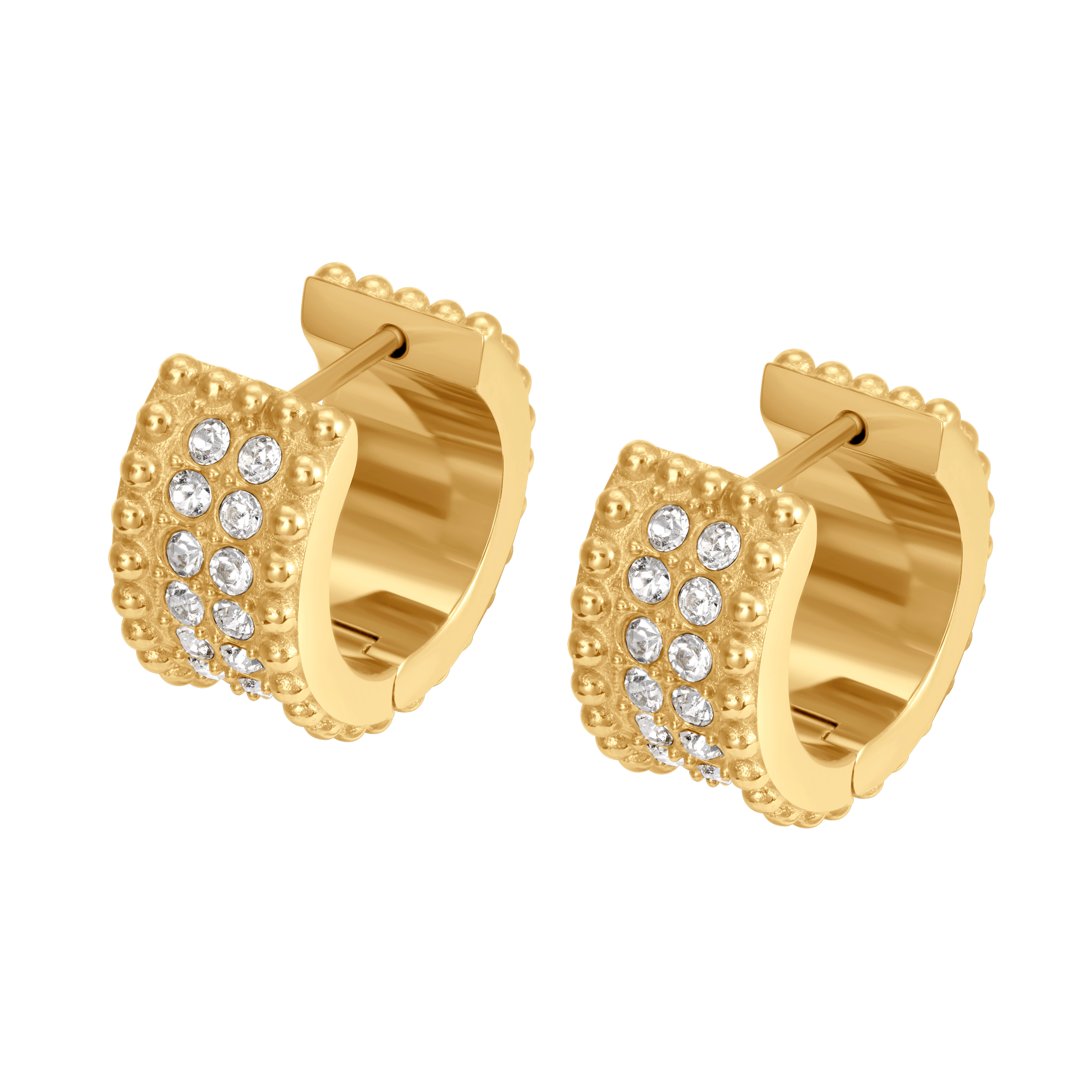 Cerruti Isadora Round Cutout Logo Motif Earring