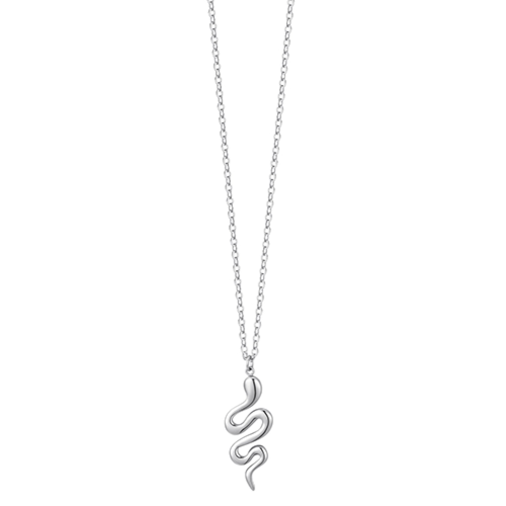 Silver-toned steel necklace with a polished, winding snake pendant