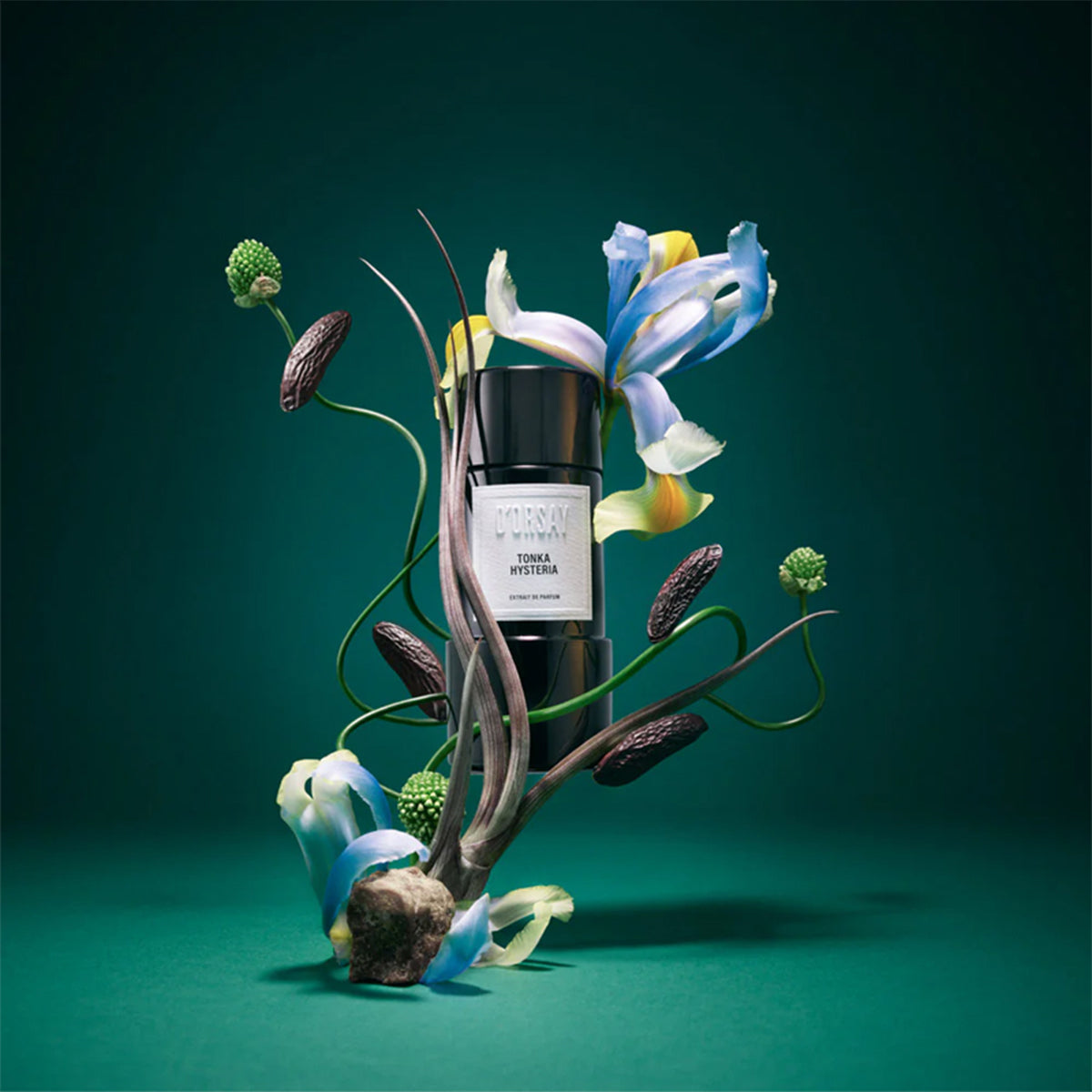 D’Orsay Tonka Hysteria Extrait de Parfum 90ml – Available for Online Purchase