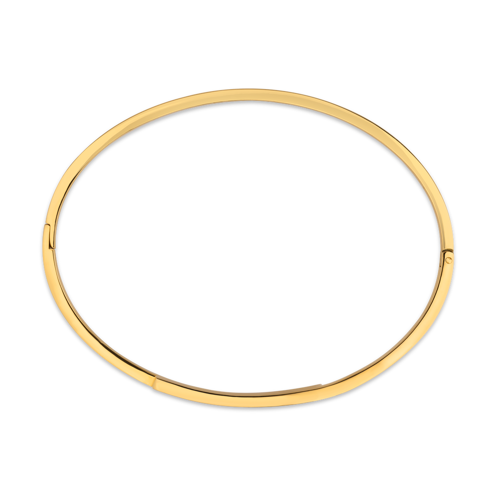 GUY LAROCHE  AURORE GP BANGLE