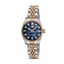 Guy Laroche - Blue Stone Dial Women's Watch