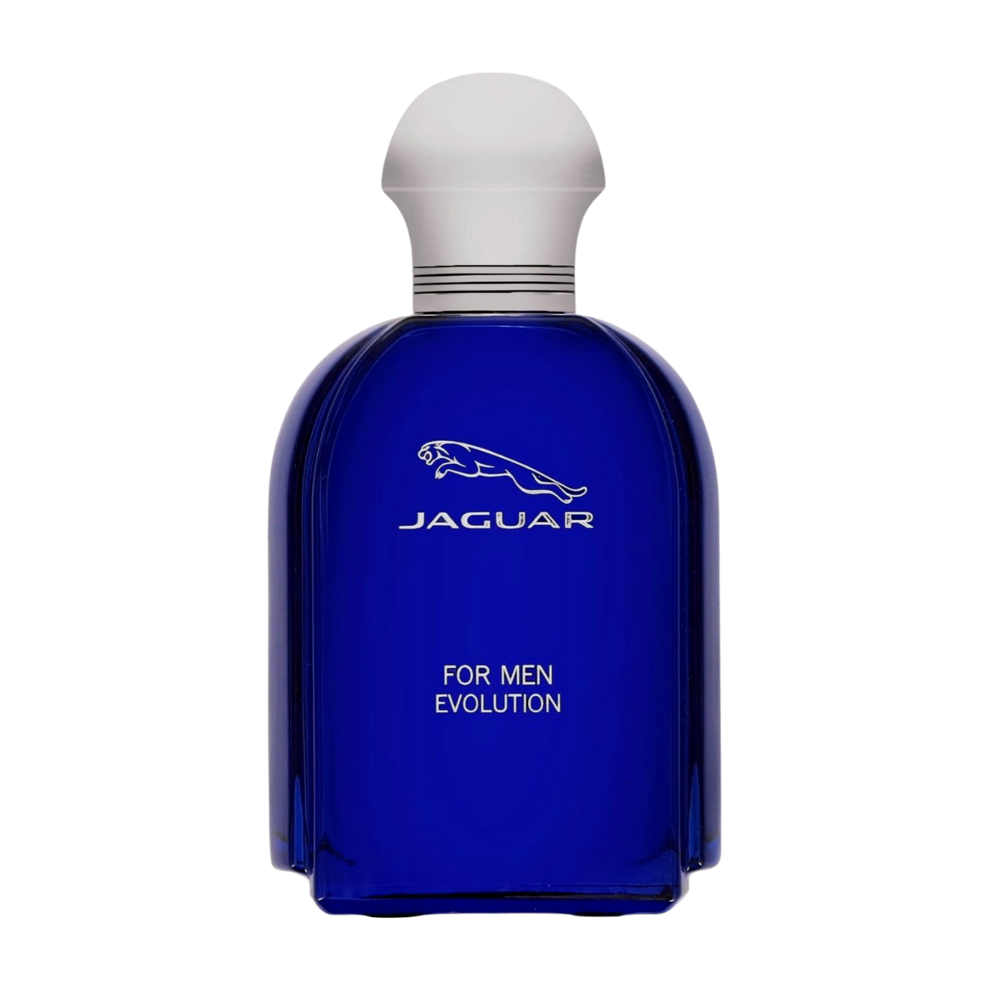 Jaguar Evolution Eau de Toilette Spray for Men,100ml