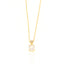 Maison Gioielli Firenze women's gold-plated sterling silver necklace with princess-cut zircon pendant