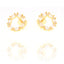 Pair of gold-toned stud earrings with a circular design, each set with multiple clear marquise-cut stones.