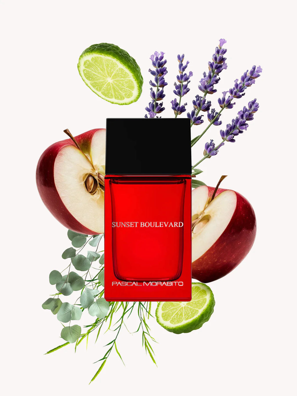Pascal Morabito Sunset Eau de Toilette 100ml warm aromatic fragrance bottle available for online purchase at Paris Gallery Qatar
