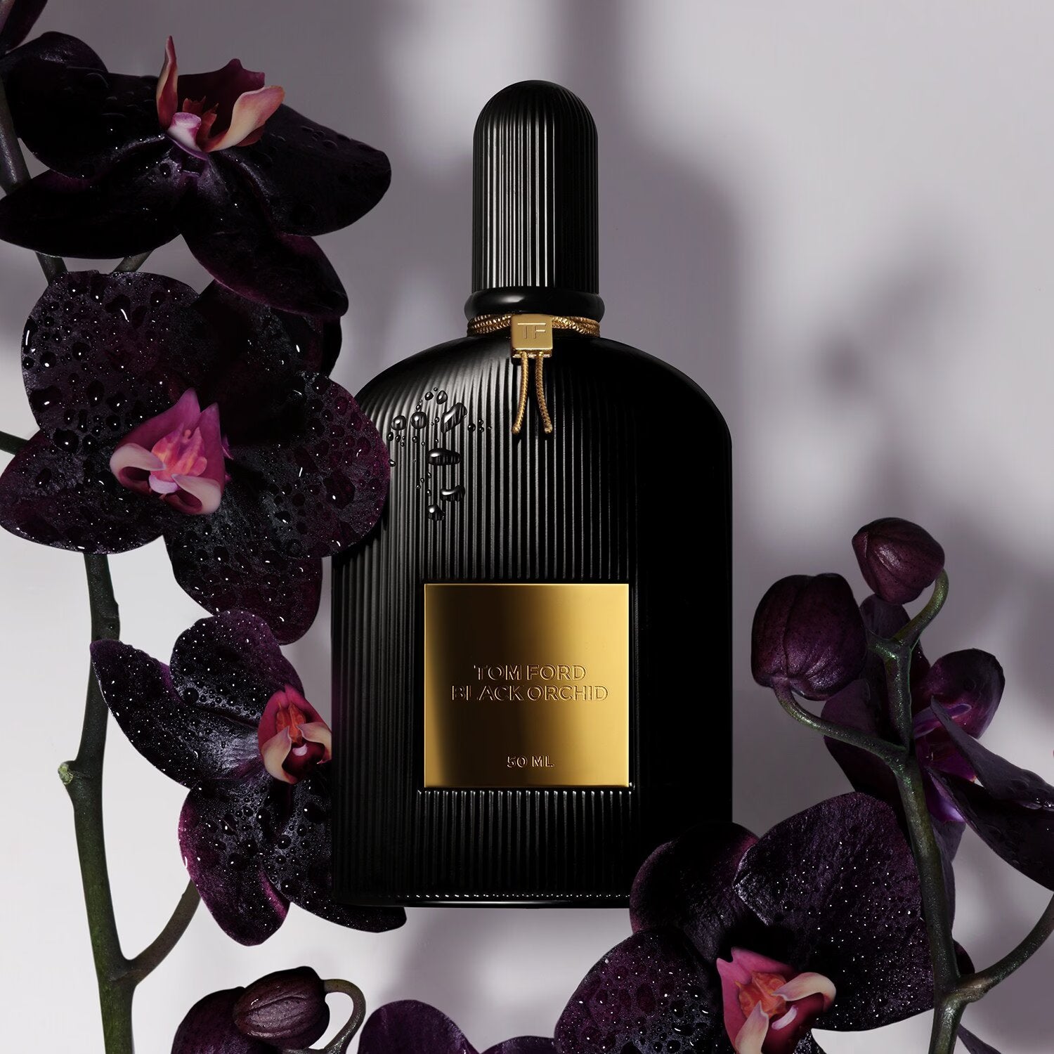 Tom Ford Black Orchid Eau de Parfum 50ml luxury fragrance bottle – Available for Online Purchase