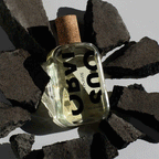 Obvious Un Poivre Eau de Parfum 100ml