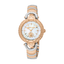 Roberto Cavalli by Franck Muller Ladies Watch
