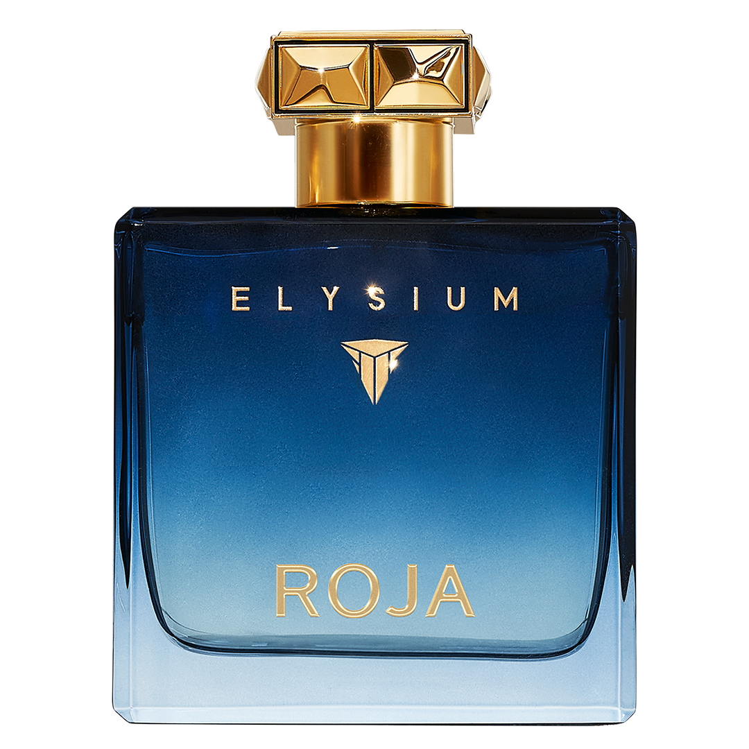 Roja Elysium Pour Homme Eau de Parfum، 100 مل Roja Elysium Pour Homme Eau de Parfum، 100 مل