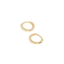 Shashi Katerina Huggie Hoop Gold – elegant gold huggie earrings at Paris Gallery Qatar