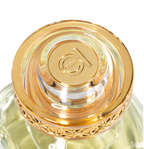 A macro, top-down view of the Touch of Oud luxury fragrance cap on Paris Gallery Qatar. The design spotlights a polished gold center engraved with the brand emblem, enclosed in thick clear acrylic with an ornate gold filigree border.
