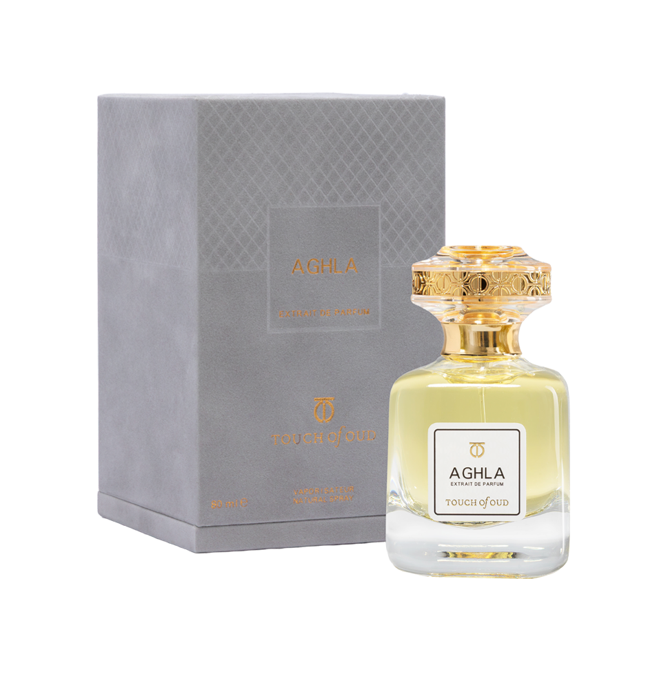 Touch of Oud Aghla 80ml perfume bottle standing next to its premium grey debossed gift box on Paris Gallery Qatar. The luxury bottle showcases its warm golden fragrance fluid against the structured presentation case.