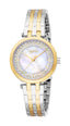 Women Embellished Dial & Stainless Steel Analogue Watch – Paris Gallery Qatar