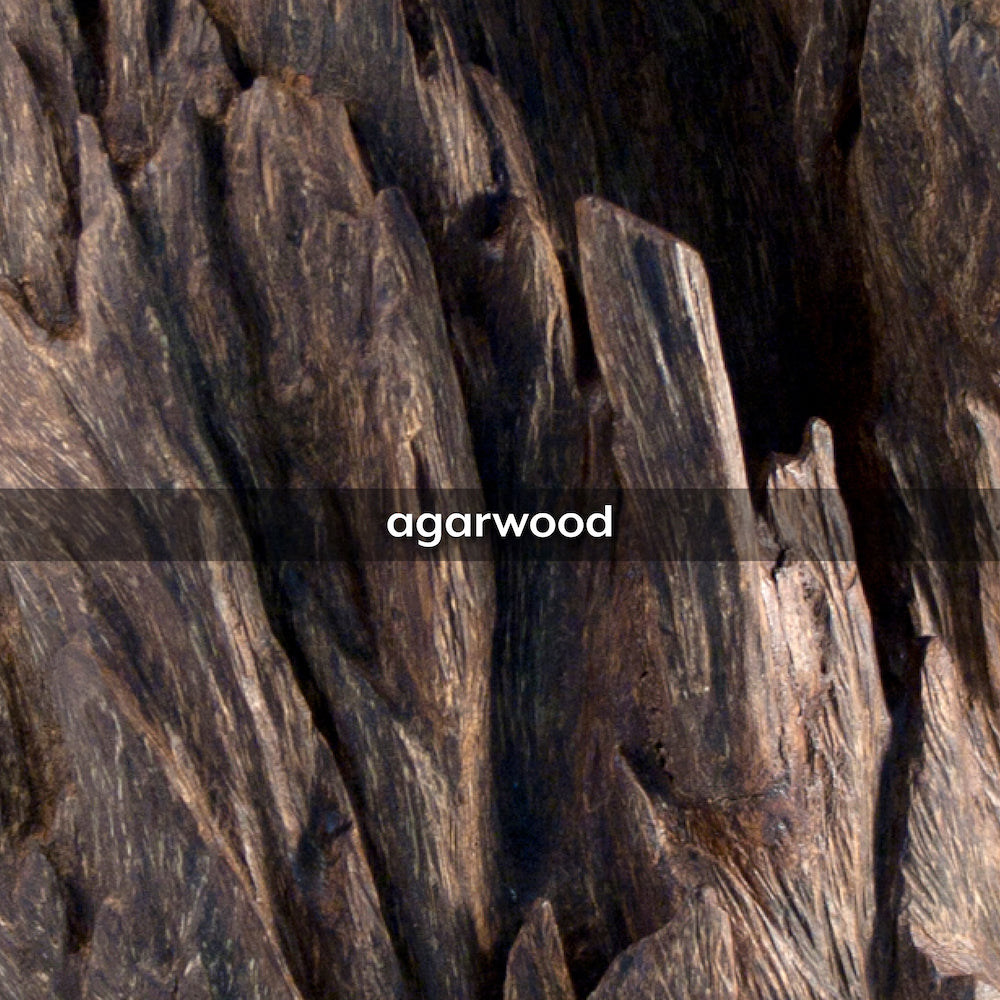 Oud Wood, 50g