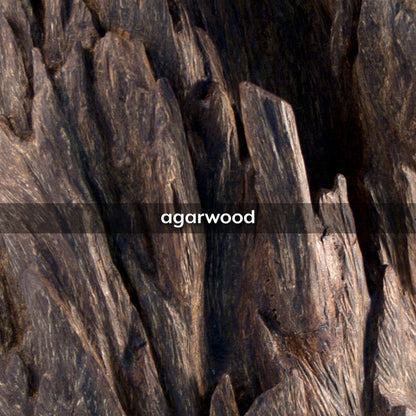 Oud Wood, 50g