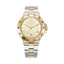 Aigner  Trieste 2  Gents Watch