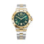 Aigner  Trieste 2  Gents Watch
