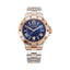 Aigner  Trieste 2  Gents Watch