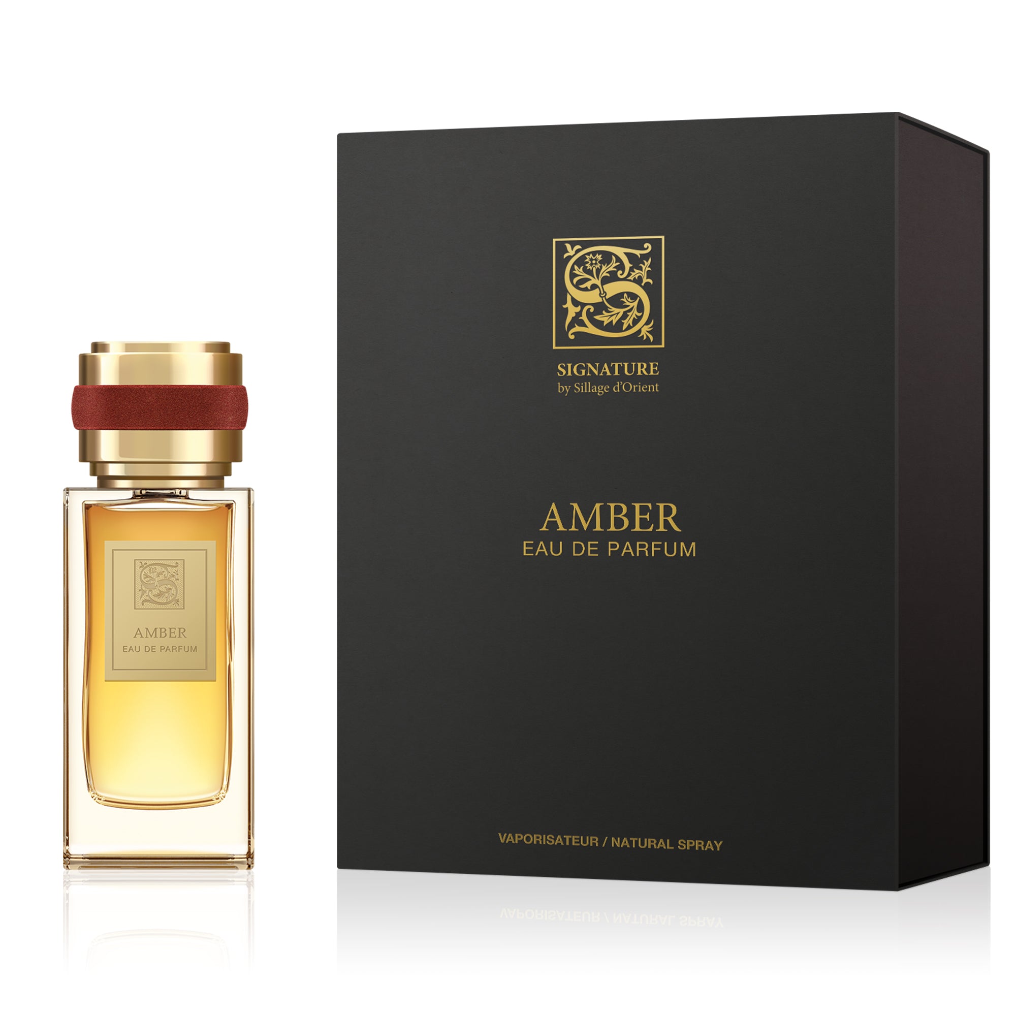 Signature Amber Eau de Parfum 100ml-Pari Gallery Qatar